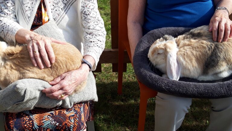 Boerderij op wielen