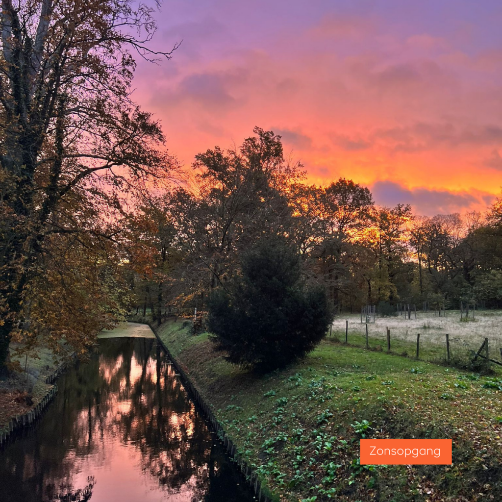 De opkomende zon